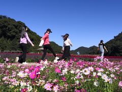 -广州市石门国家森林公园