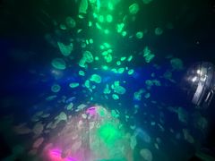 -江和美海洋公园