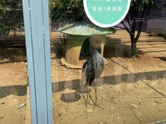 -无锡动物园·太湖欢乐园