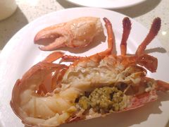 -青蓬蒸汽海鲜·深圳老字号·团建聚会(壹方城店)