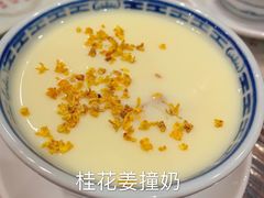 -周大娘牛乳(旧寨古村总店)