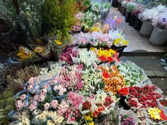 -循礼门鲜花花市(武汉循礼门店)