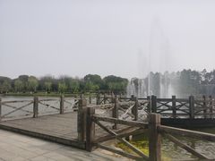 -上海鲜花港