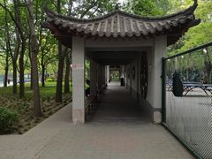 -莲花池公园
