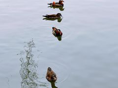 -北海公园