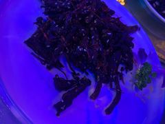 -伊和园清真餐饮