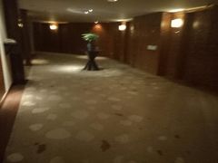 -成都凯宾斯基饭店