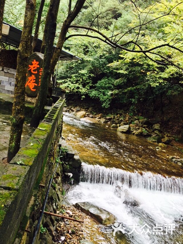 西天目山老庵山莊圖片 - 第15張