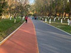 -大兴滨河森林公园