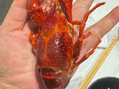 -靓靓蒸虾·头牌蒸虾(沙湖旗舰店)
