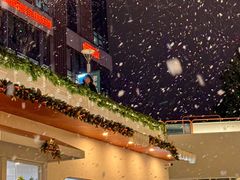 -紫荆广场·花漫里