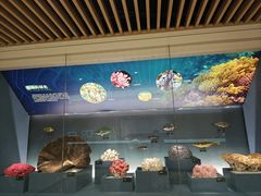 -中国湿地博物馆
