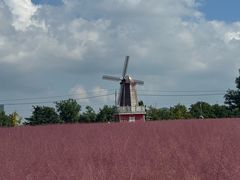 -羊亭河湿地公园