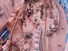 -陕西自然博物馆