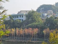 -广东温泉宾馆