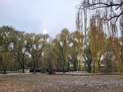 -玲珑塔公园