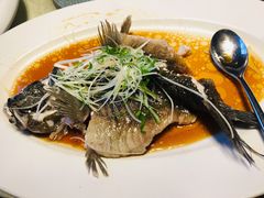 葱油清蒸笋壳鱼-上海金桥红枫万豪酒店-万豪中餐厅