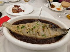 -金狮麟·新豫菜(金码大厦店)