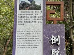 -十九峰景区-倒脱靴