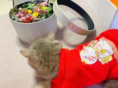 -森野花艺培训·企业团建活动沙龙