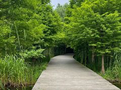 -溱湖国家湿地公园