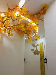 -芳朵美容养生SPA