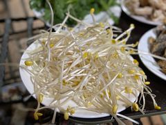 -东巴谷野生菌火锅餐厅