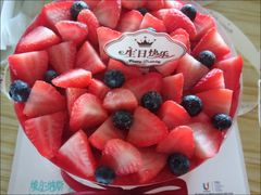 -维尔纳斯·生日蛋糕·动物奶油冰淇淋蛋糕(六里桥店)