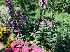 -西海子公园