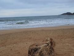 -南蚝小贝海鲜特色餐厅(南澳岛店)