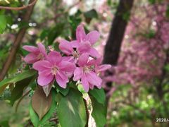 -东北大学(南湖校区)