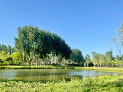 -东郊湿地公园