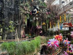 -正佳雨林生态植物园