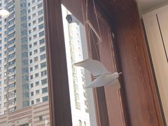 -山与蓝·轻糖鲜果蛋糕(勒泰店)