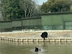 -上海野生动物园