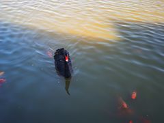 -春晖园度假酒店温泉