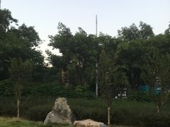 -光明港公园