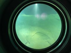 -白鹤梁水下博物馆