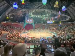 -俄罗斯国家大马戏团