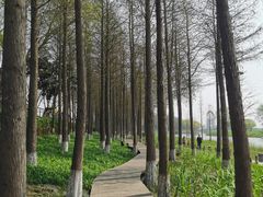 -苏州太湖湖滨国家湿地公园