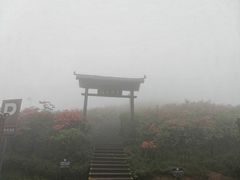 -大围山国家森林公园
