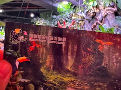 -正佳雨林生态植物园