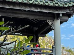 -荔湾湖公园