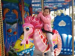 -吴淞炮台湾湿地森林公园烧烤区