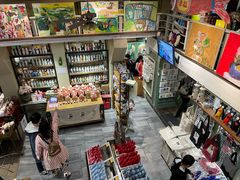 -猫咪博物馆(顶澳仔猫街店)