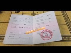 -优护优家Ucare月嫂育儿嫂陪伴师(静安店)