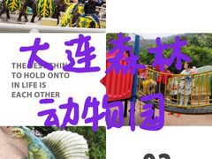 -大连森林动物园