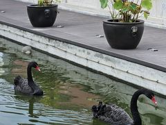 -天津市峰山药王古寺
