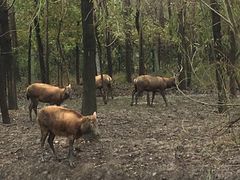 -溱湖国家湿地公园