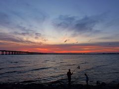 -宝安西湾红树林湿地公园